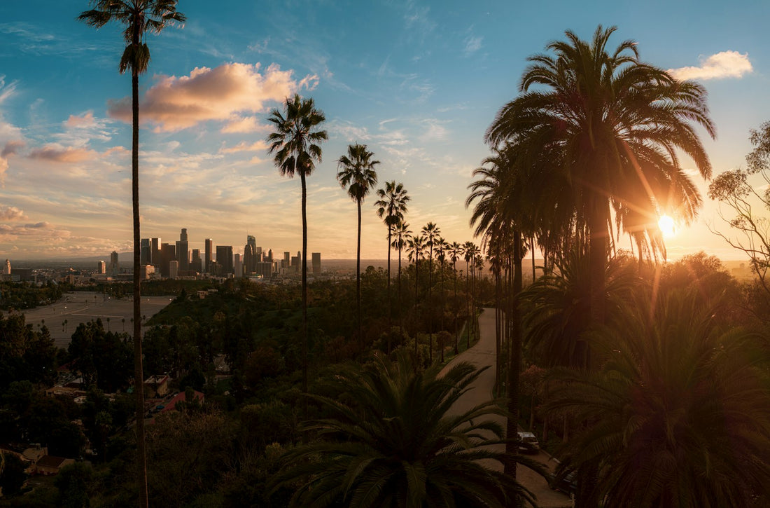 Palm-lined street at golden hour with the Los Angeles skyline, the setting for concierge IV therapy visits across Beverly Hills and the Westside