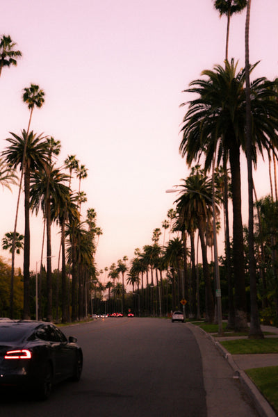 Hangover IV in West Hollywood: An Honest Guide to the Morning After