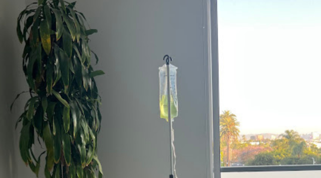 IV Glow Bar drip by the window